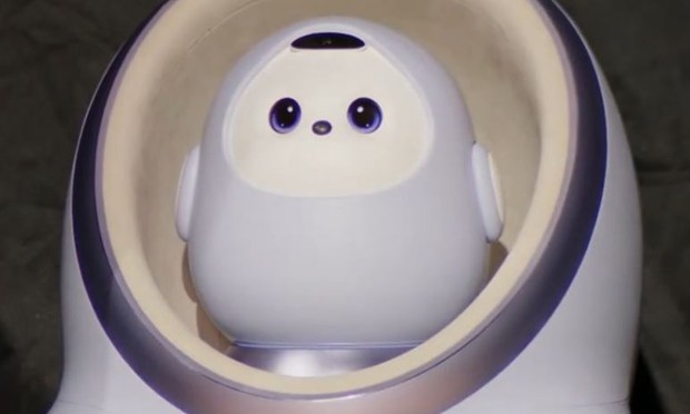 Flying Cars Can Wait: CES Shows Future Is Robots That Cool Your Soup, Pick Up Socks